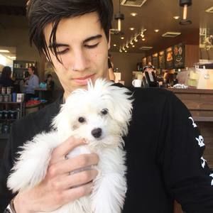 Meet your Posher, Dominic